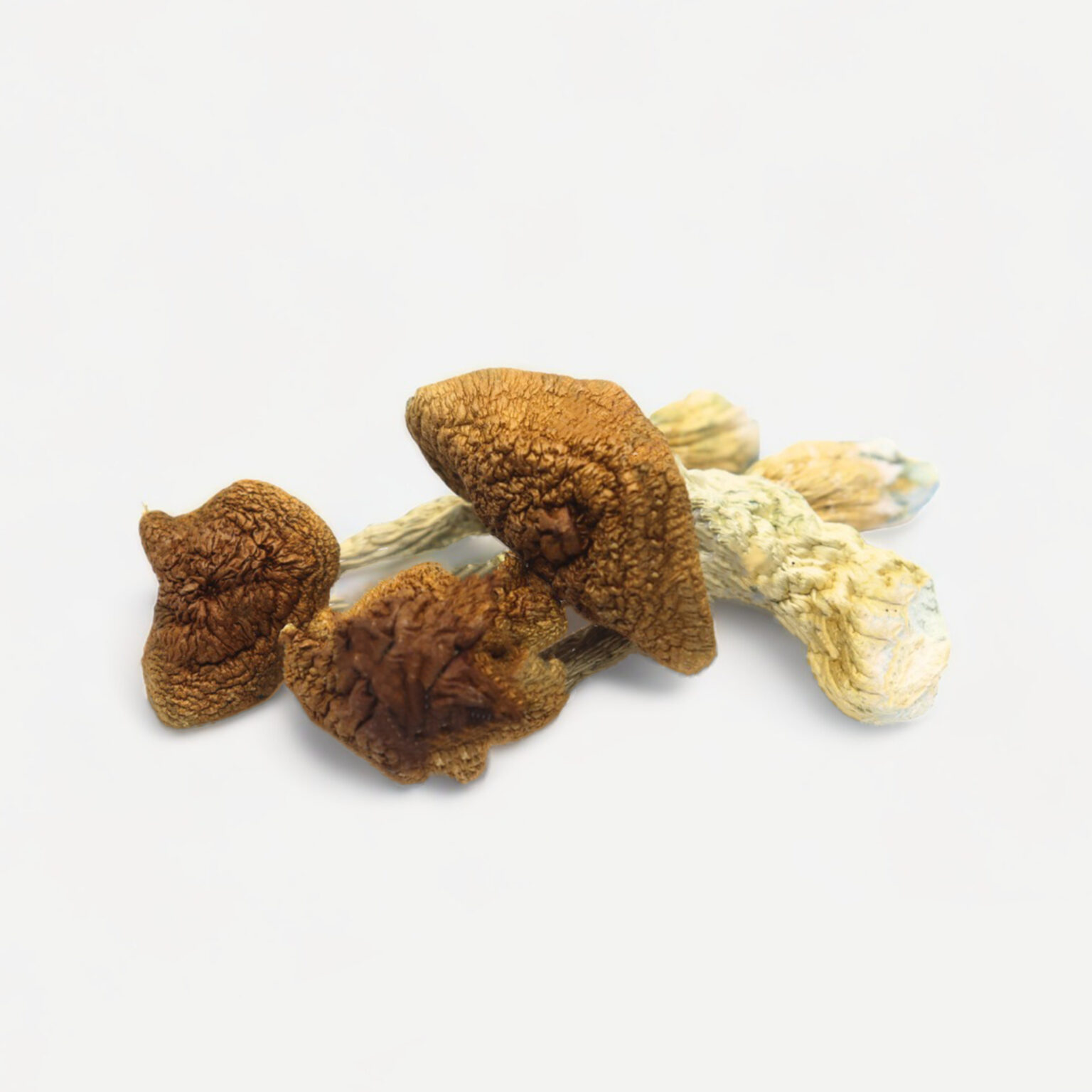 Magic Mushrooms In Texas: Legal Status & Potential Risks - dubk51p