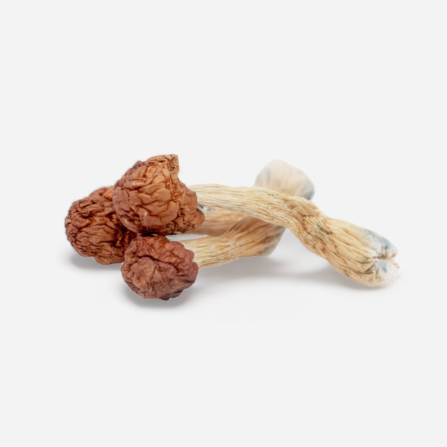 Magic Mushrooms In Texas: Legal Status & Potential Risks - g1aeces