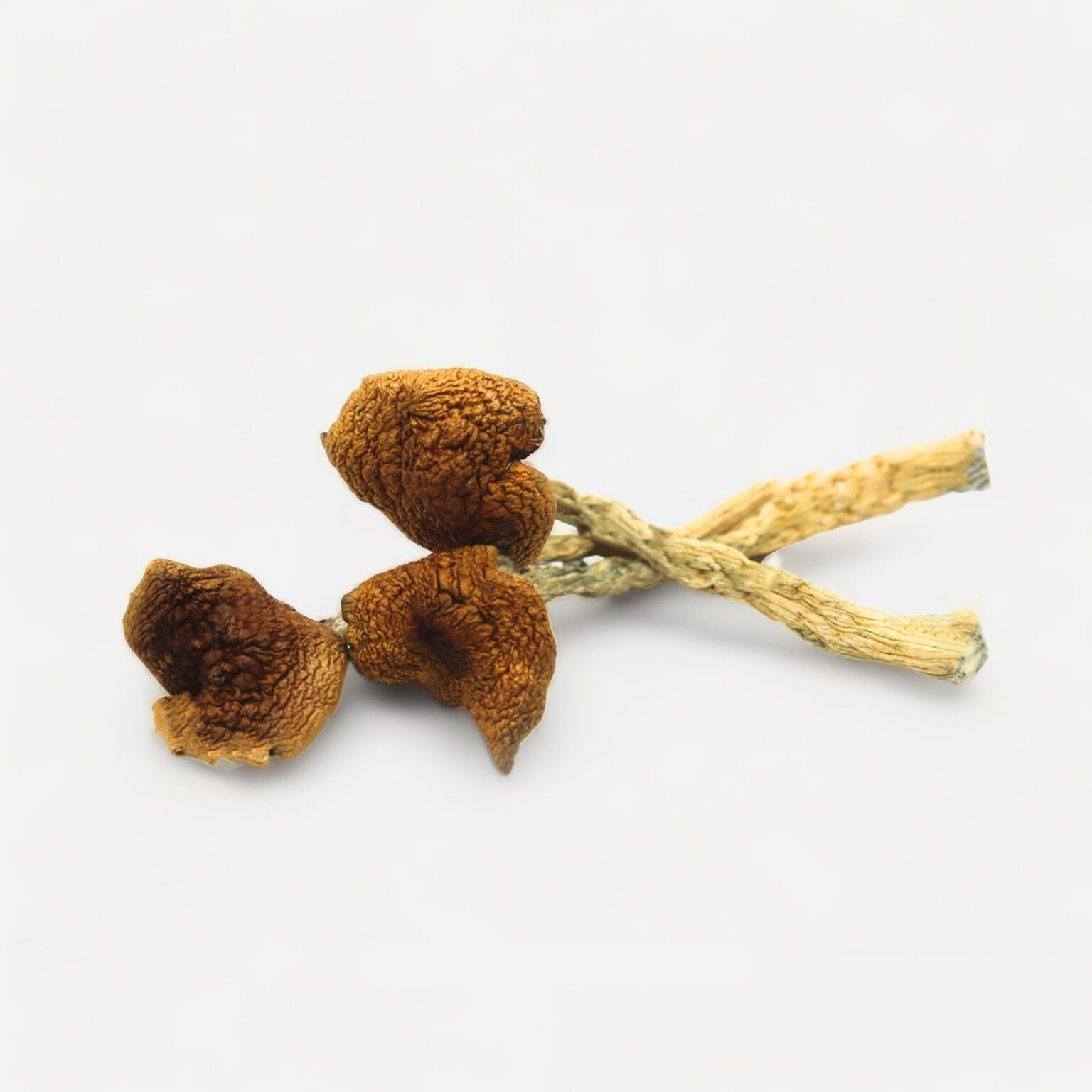 Magic Mushrooms In Texas: Legal Status & Potential Risks - ef8lfnk