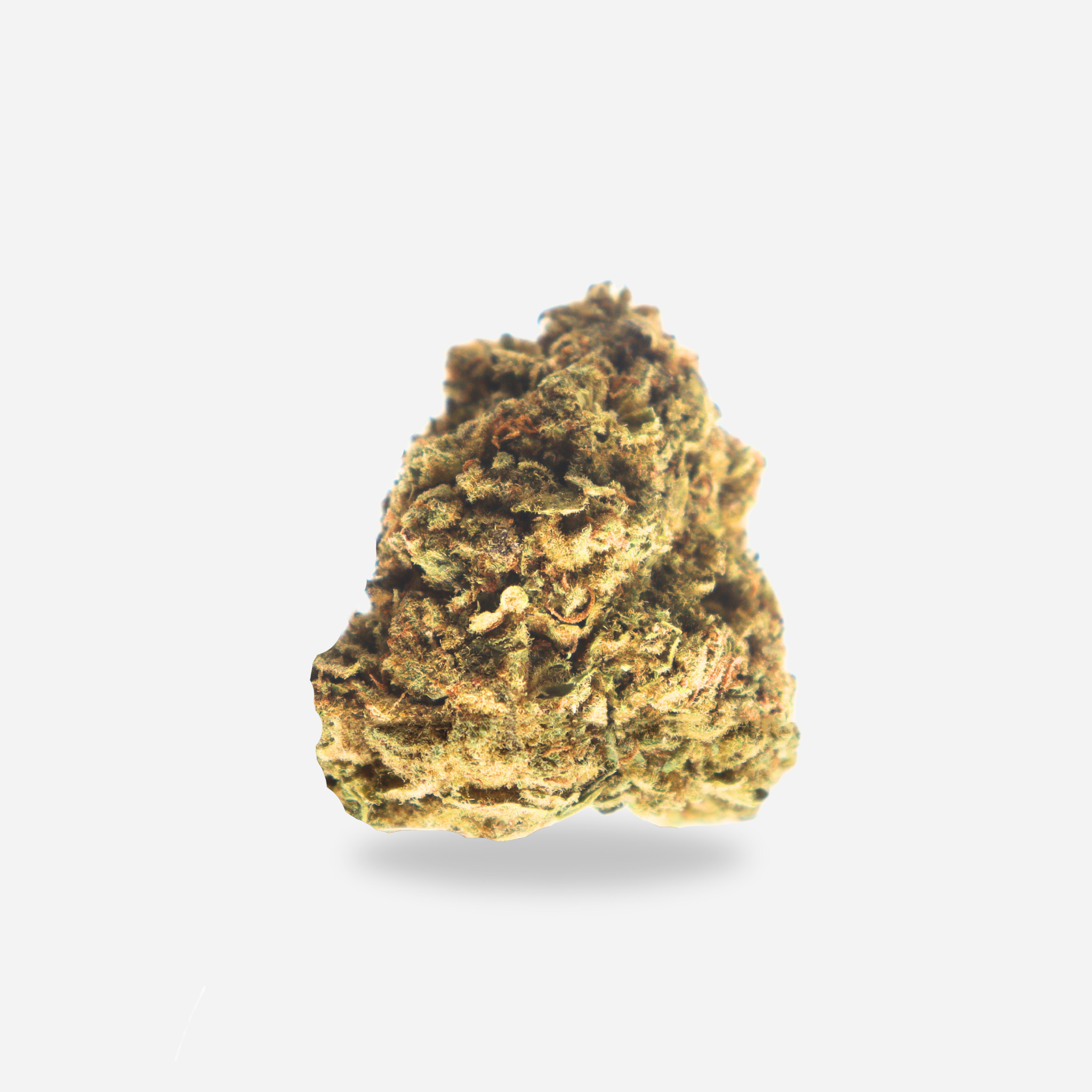 Sunset Runtz Indica Bloom Supply