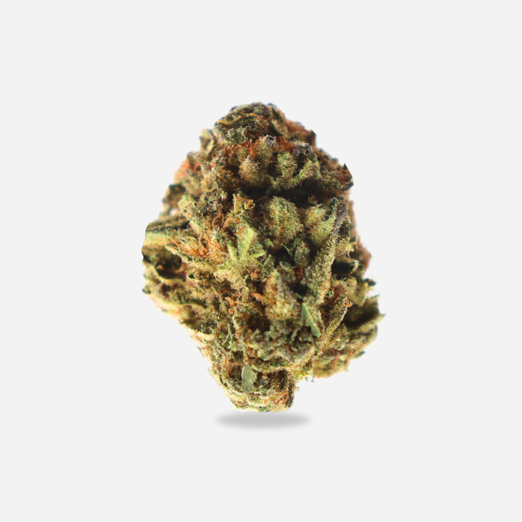 tanzanian-magic-sativa-bloom-supply