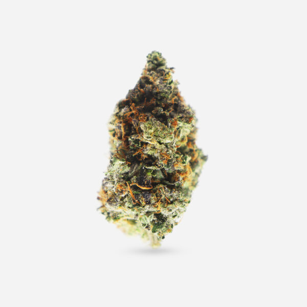 Astro Pink Indica Bloom Supply