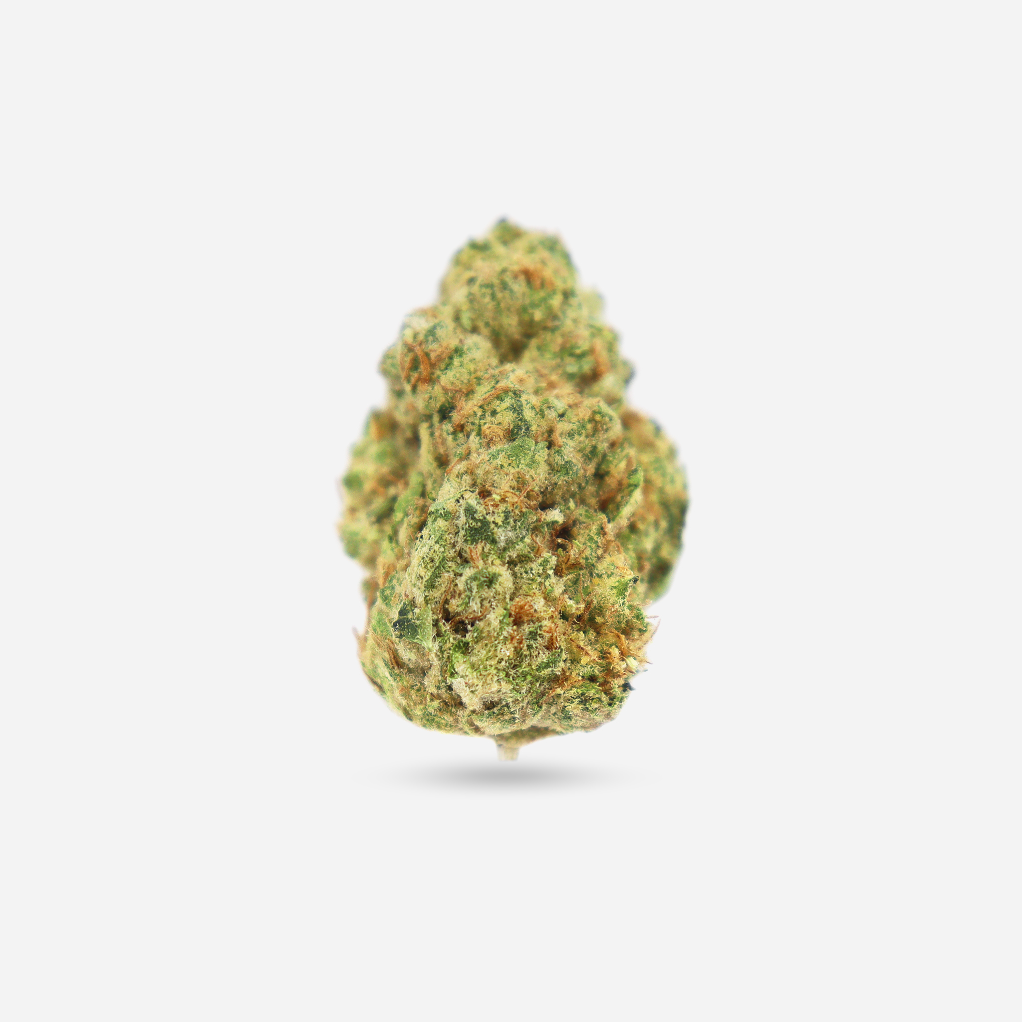 Grape Ape Indica Bloom Supply grape-ape-indica-bloom-supply