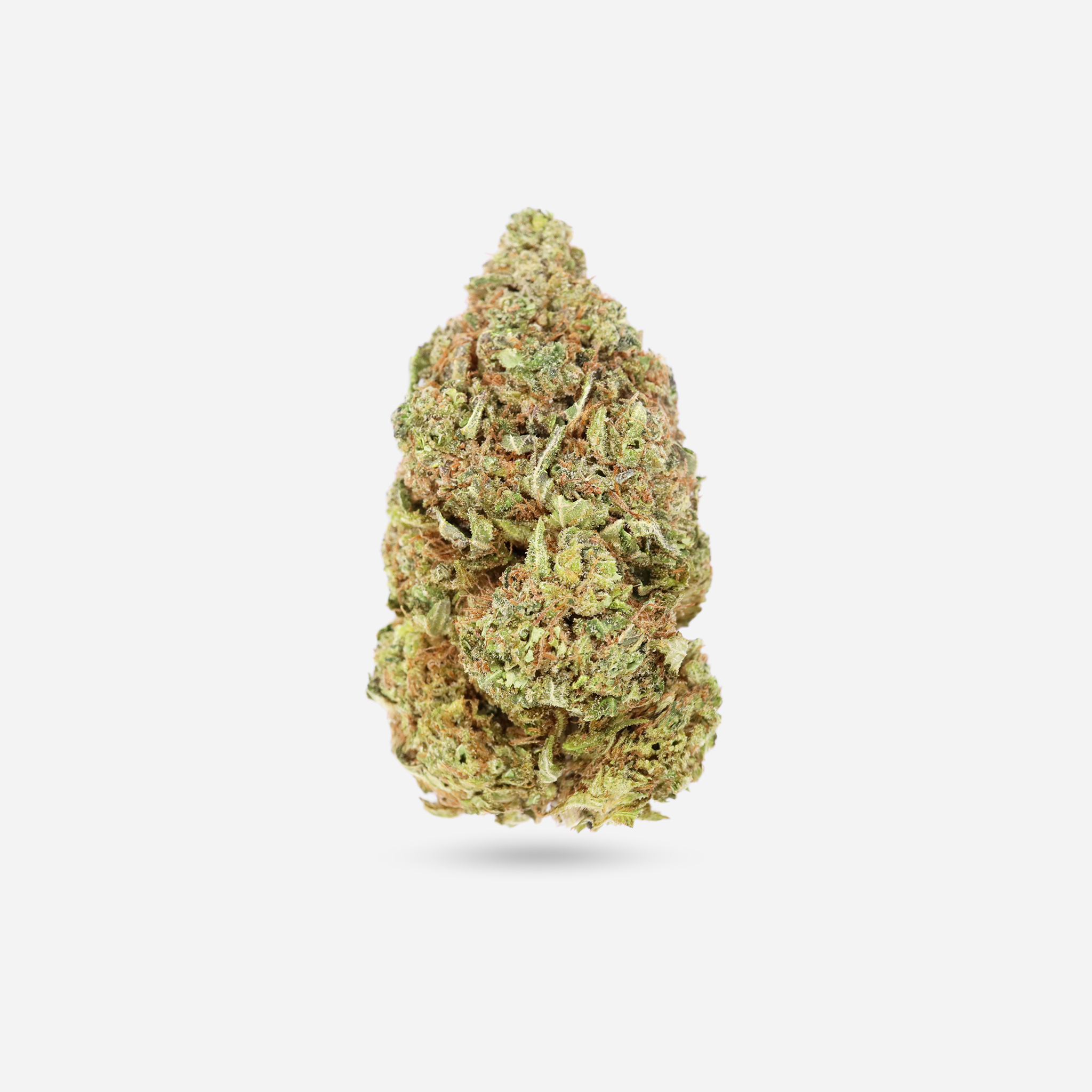 Kush Mint - Hybrid - Bloom Supply